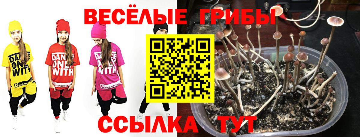 Псилоцибиновые грибы ЛСД  Вход с VPN  Югорск  Галлюциногенные грибы Magic Shrooms 